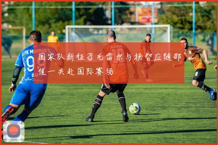 国家队新征召毛雷尔与杨智应随邵佳一共赴国际赛场