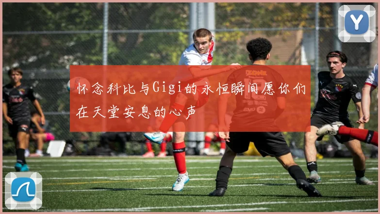 怀念科比与Gigi的永恒瞬间愿你们在天堂安息的心声