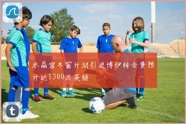 水晶宫冬窗计划引进博伊转会费预计达1300万英镑