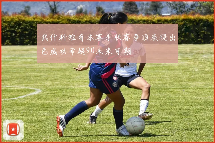武什科维奇本赛季联赛争顶表现出色成功率超90未来可期