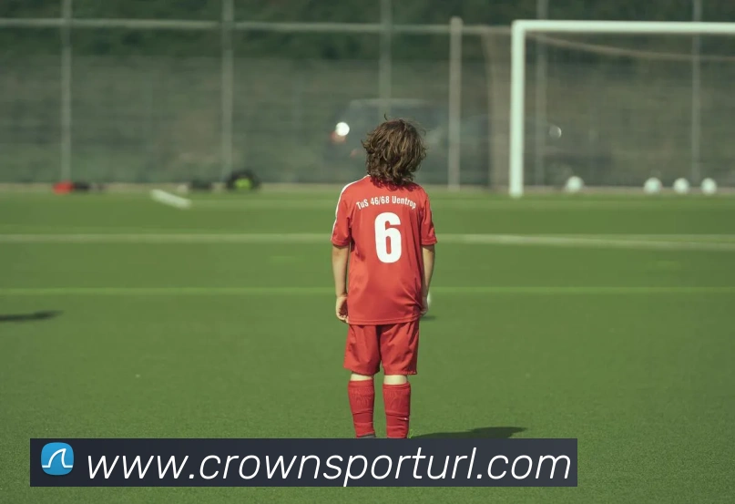 皇冠体育APP 封面图